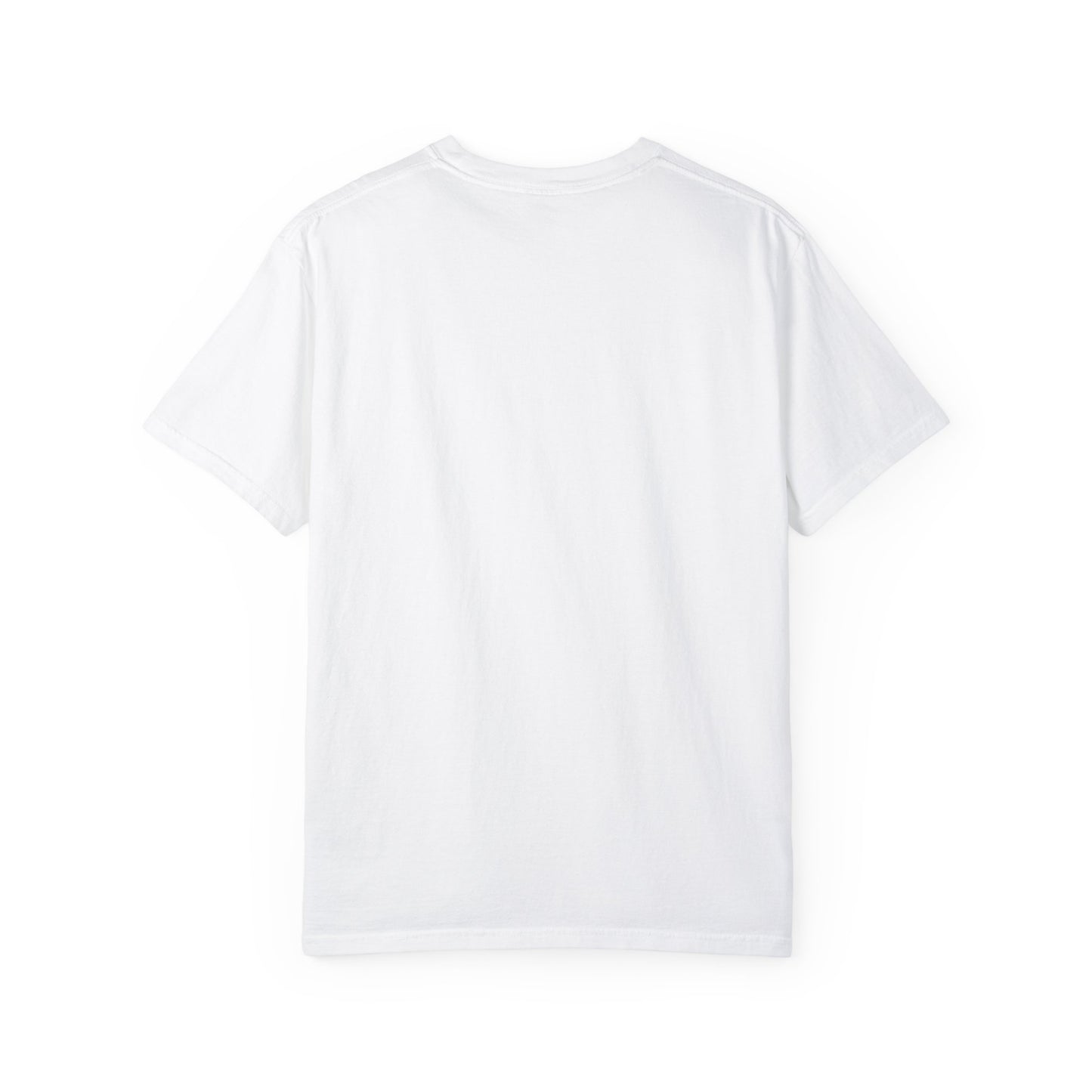 Capybara Crewneck Shirt, Animal Kingdom Gift, Comfort Colors Tee, Shirts That Go Hard