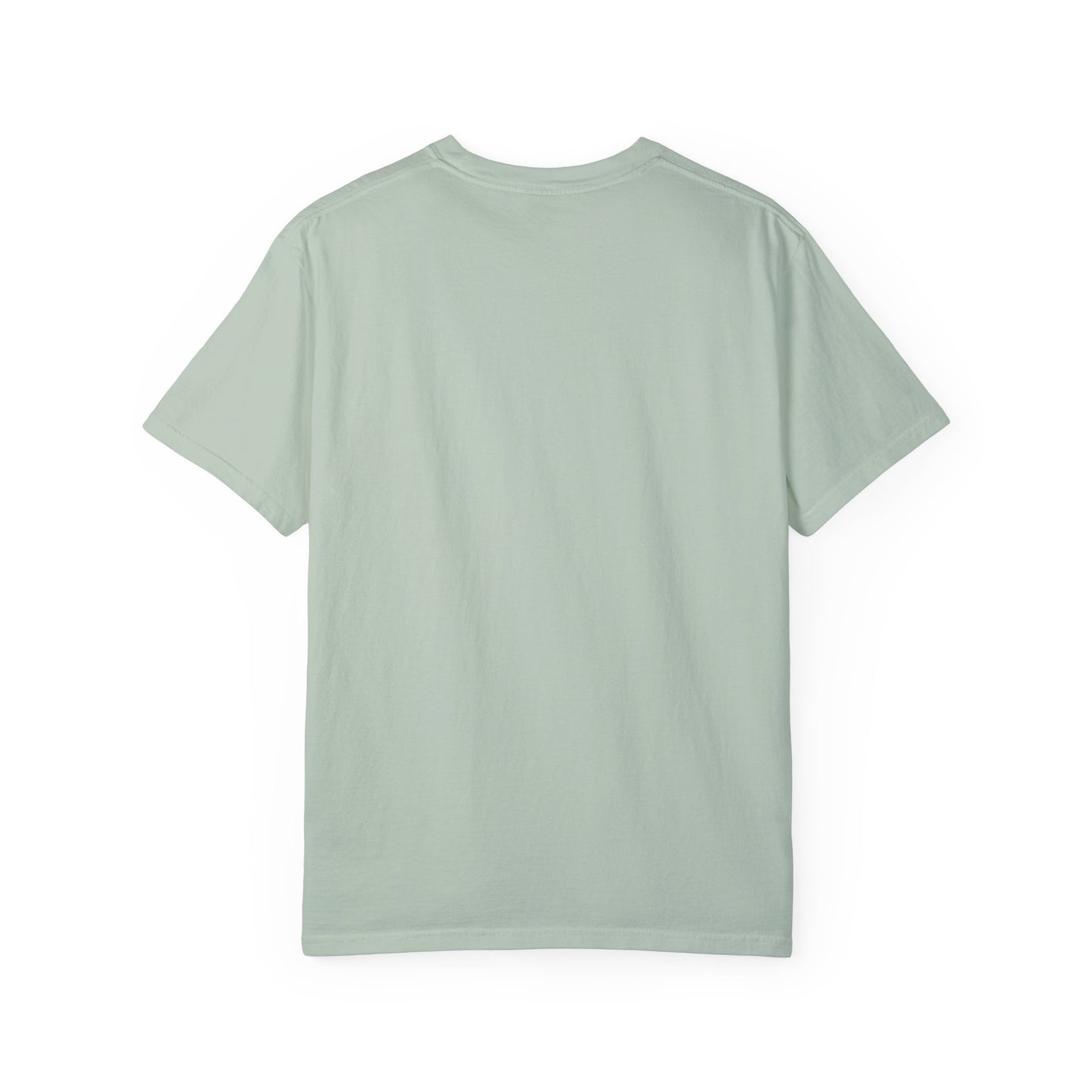 Capybara Crewneck Shirt, Animal Kingdom Gift, Comfort Colors Tee, Shirts That Go Hard