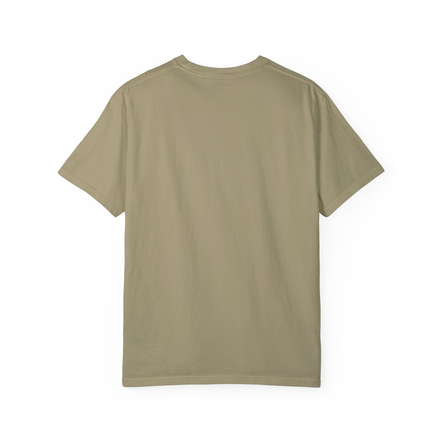 Capybara Crewneck Shirt, Animal Kingdom Gift, Comfort Colors Tee, Shirts That Go Hard
