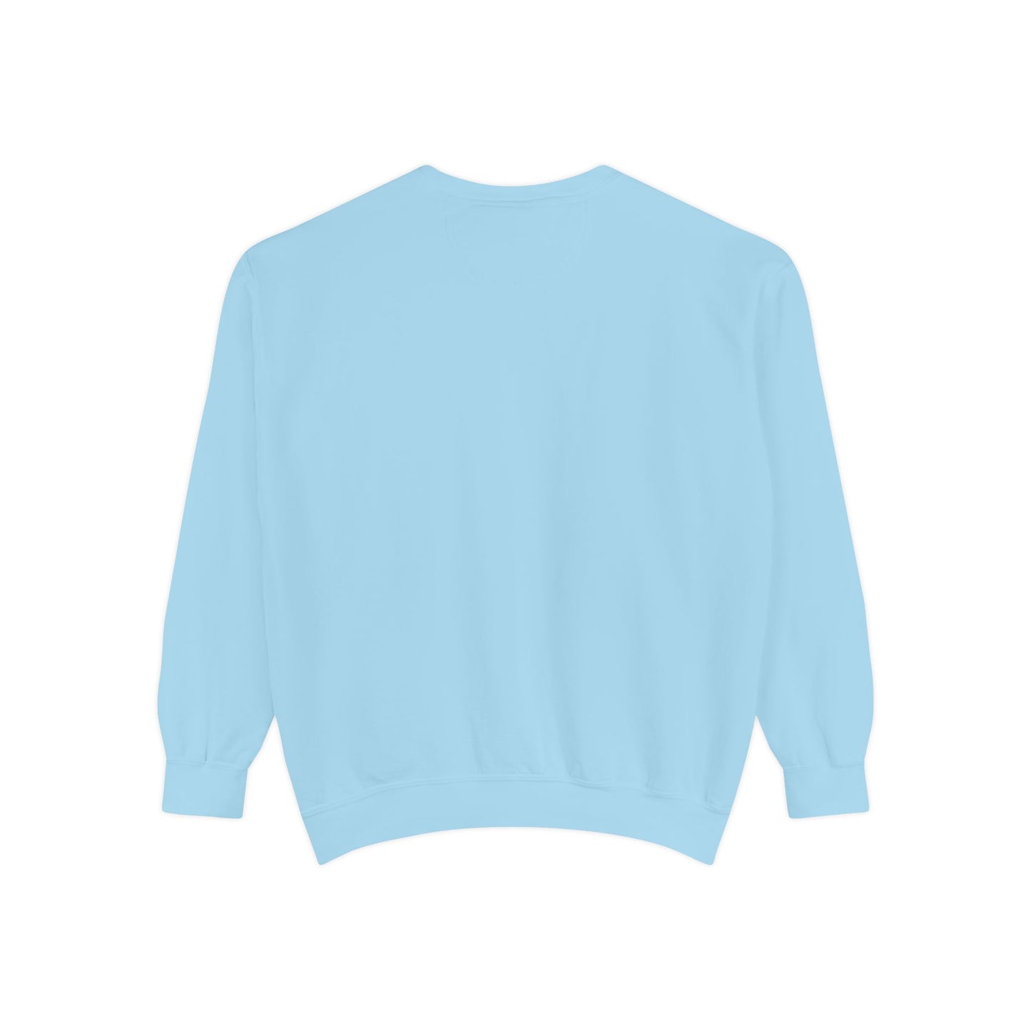 Baby Duckling Sweatshirt Coquette Sweatshirt Trendy Crewneck Aesthetic Sweatshirt Cute Sweatshirt Gift For Her Comfort Colors Sweatshirt