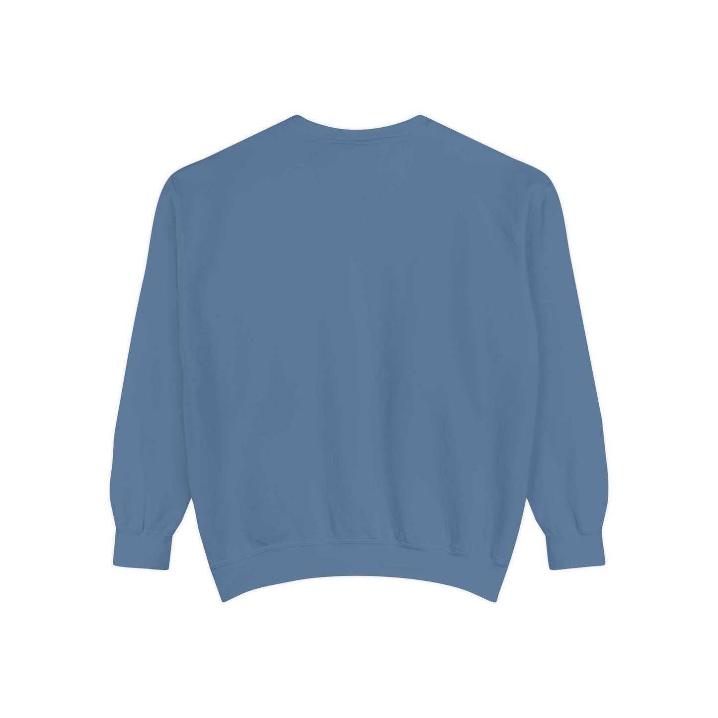 Swan Lake Sweatshirt Coquette Sweatshirt Trendy Crewneck Aesthetic Sweatshirt Cute Sweatshirt Gift For Her Comfort Colors Sweatshirt