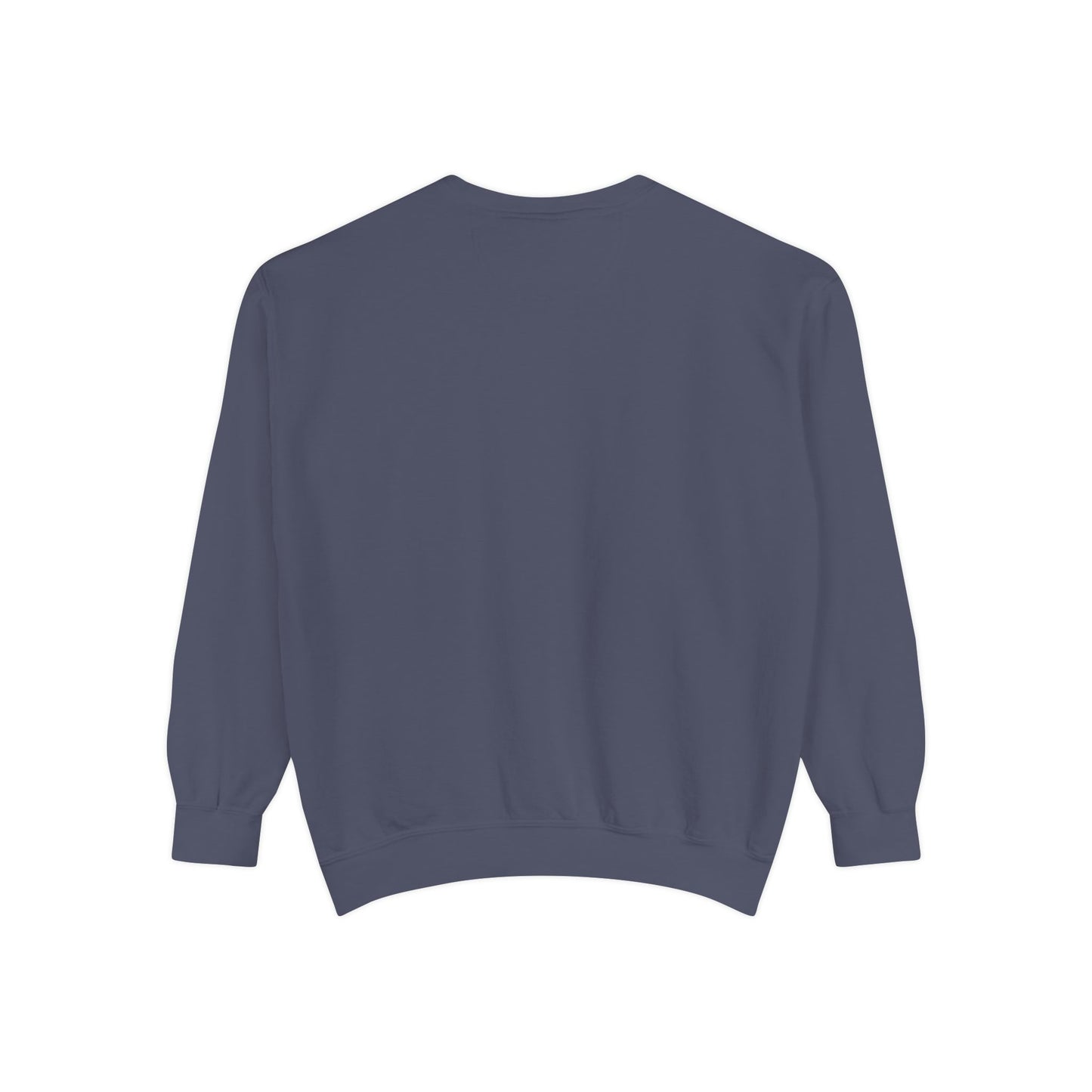 Swan Lake Sweatshirt Coquette Sweatshirt Trendy Crewneck Aesthetic Sweatshirt Cute Sweatshirt Gift For Her Comfort Colors Sweatshirt