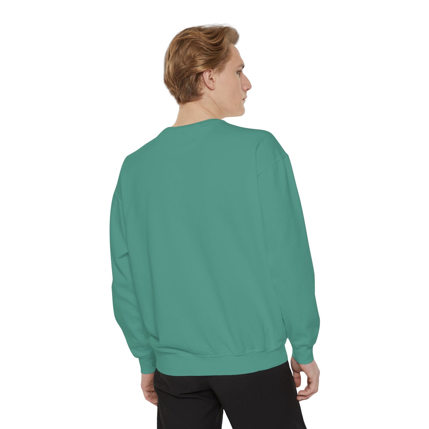 Jellyfish Dreams Sweatshirt Coquette Sweatshirt Trendy Crewneck Aesthetic Sweatshirt Cute Sweatshirt Gift For Her Comfort Colors Sweatshirt