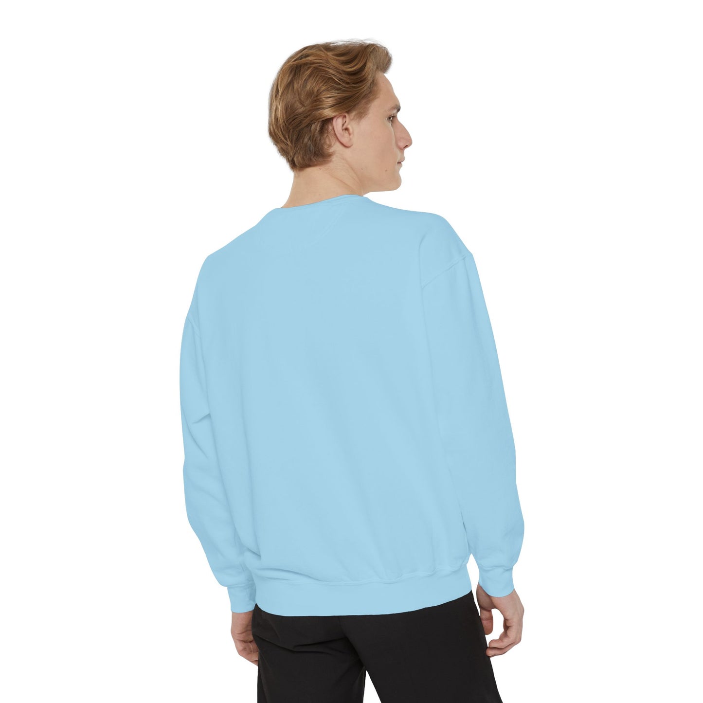 Lambs Charm Sweatshirt Coquette Sweatshirt Trendy Crewneck Aesthetic Sweatshirt Cute Sweatshirt Gift For Her Comfort Colors Sweatshirt