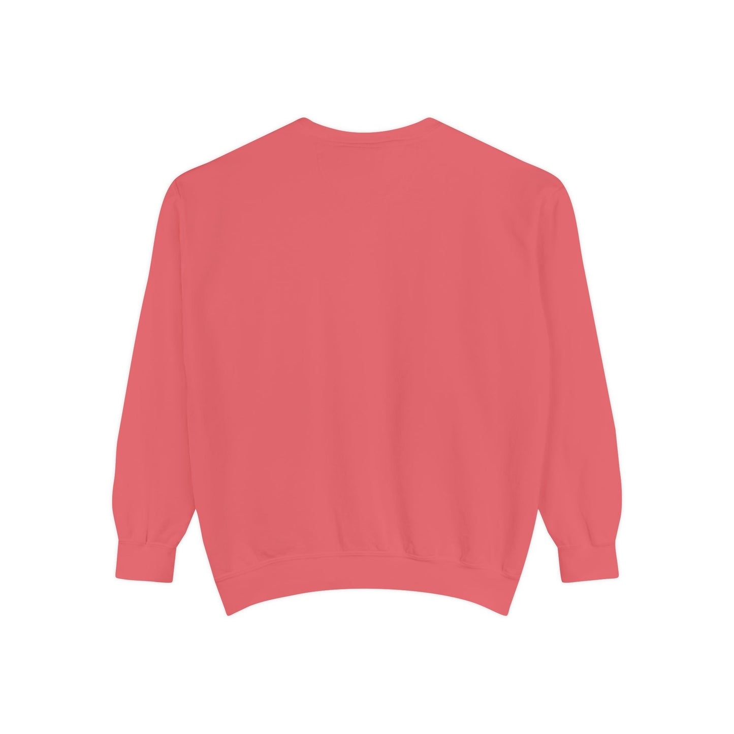 Cat Sweatshirt Coquette Sweatshirt Trendy Crewneck Aesthetic Sweatshirt Cute Sweatshirt Gift For Her Comfort Colors Sweatshirt