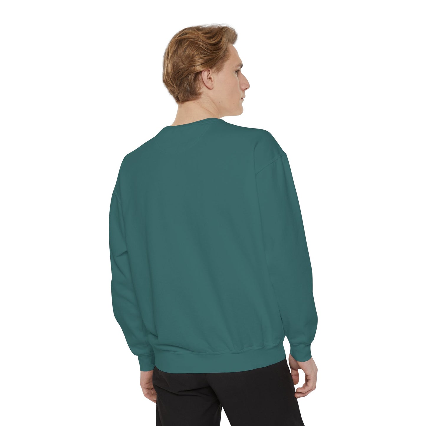 Jellyfish Dreams Sweatshirt Coquette Sweatshirt Trendy Crewneck Aesthetic Sweatshirt Cute Sweatshirt Gift For Her Comfort Colors Sweatshirt