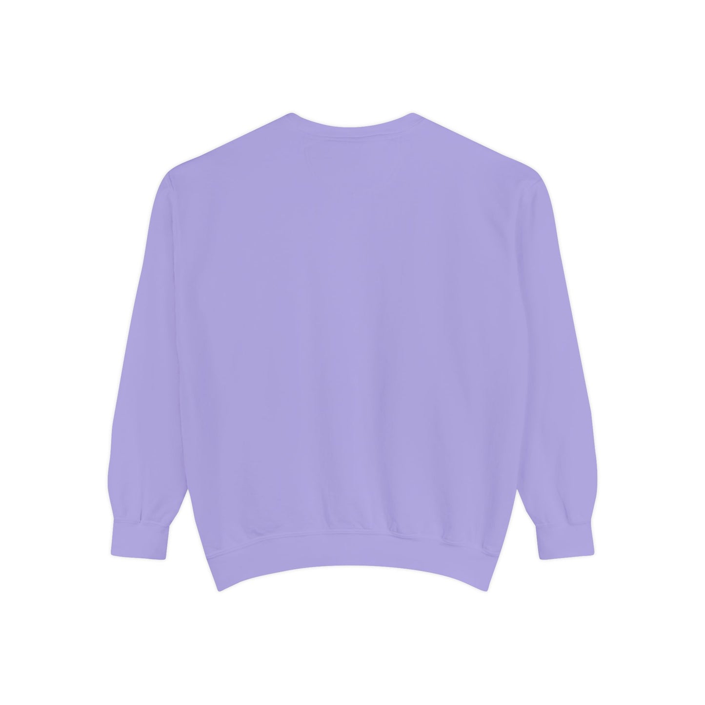 Cat Sweatshirt Coquette Sweatshirt Trendy Crewneck Aesthetic Sweatshirt Cute Sweatshirt Gift For Her Comfort Colors Sweatshirt