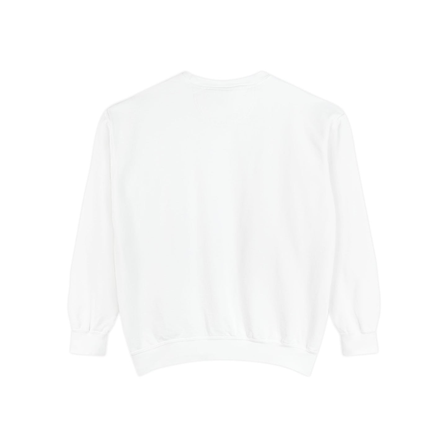 Jellyfish Dreams Sweatshirt Coquette Sweatshirt Trendy Crewneck Aesthetic Sweatshirt Cute Sweatshirt Gift For Her Comfort Colors Sweatshirt